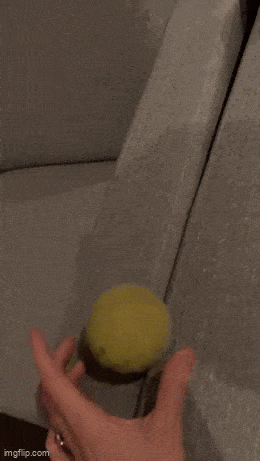 GIFparade LXXVII GP77_13 