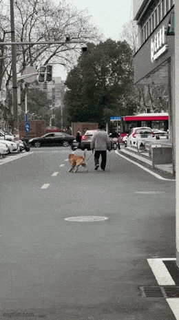 GIFparade LXXVII GP77_15 