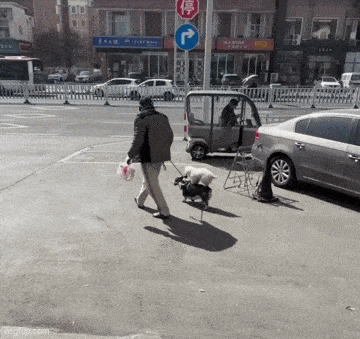 GIFparade LXXVII GP77_26 