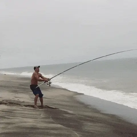 GIFparade LXXVII GP77_28 