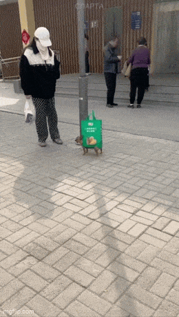 GIFparade LXXVII GP77_35 