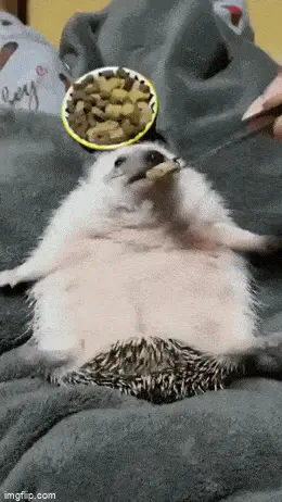 GIFparade LXXVIII GP78_11 