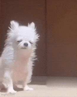 GIFparade LXXVIII GP78_20 