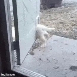 GIFparade LXXIX GP79_22 