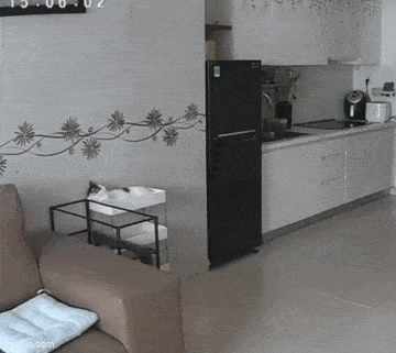 GIFparade LXXX GP80_26 