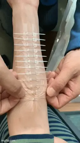 GIFparade LXXX GP80_42 