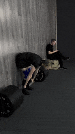 GIFparade LXXXVI BP86_15 