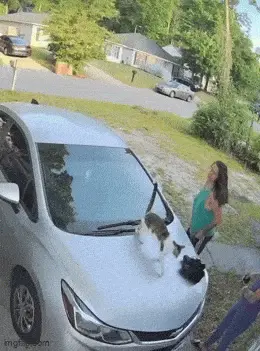 GIFparade LXXXVI BP86_28 