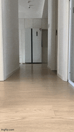 GIFparade LXXXVI BP86_36 