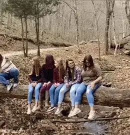 GIFparade LXXXVI BP86_40 