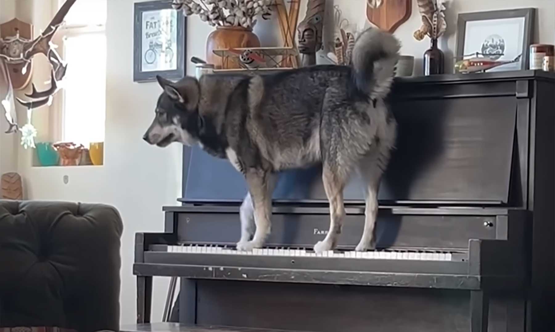 Fluff der Woche (39) fluff-der-woche-39 