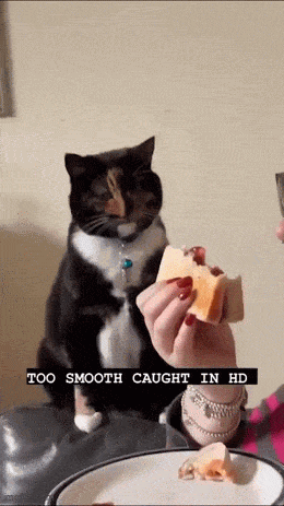 GIFparade XCIV GP94_07 