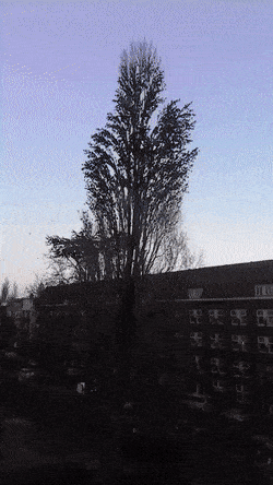 GIFparade XCV GP95_43 