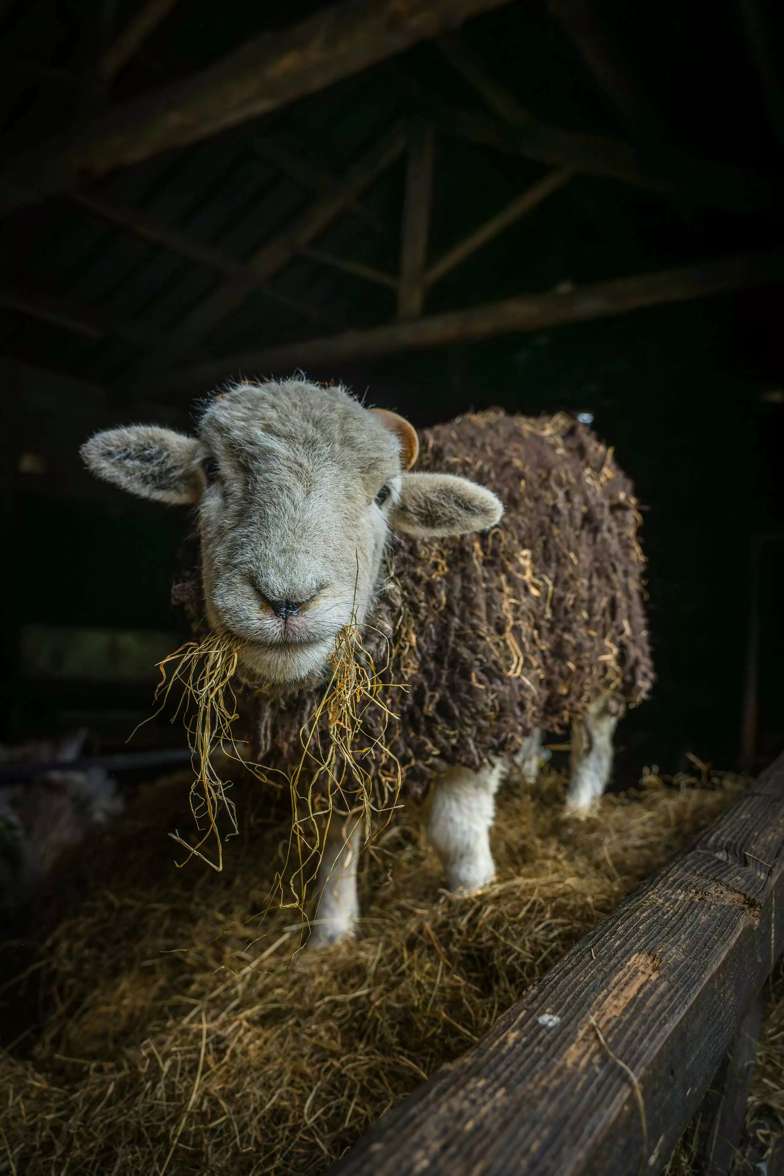 Best of Unsplash: Oktober 2024 jonny-gios-X7UFvBn0vZc-unsplash 