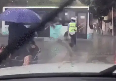 GIFparade CXII GP112_26 