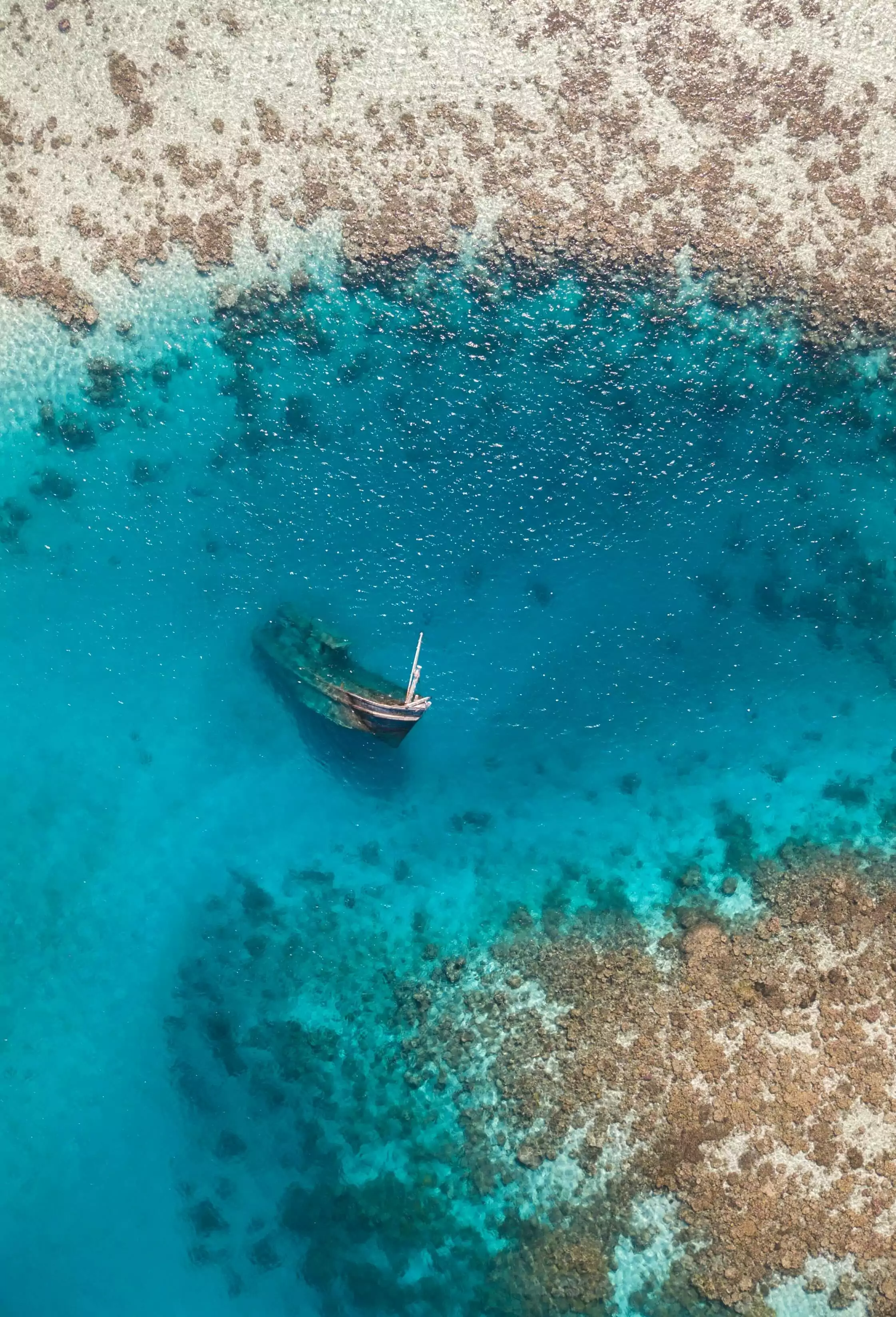Best of Unsplash: November 2024 adam-azim-e2d1U6MfaSE-unsplash