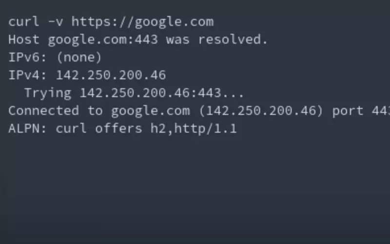 curl -v Command als Metalsong