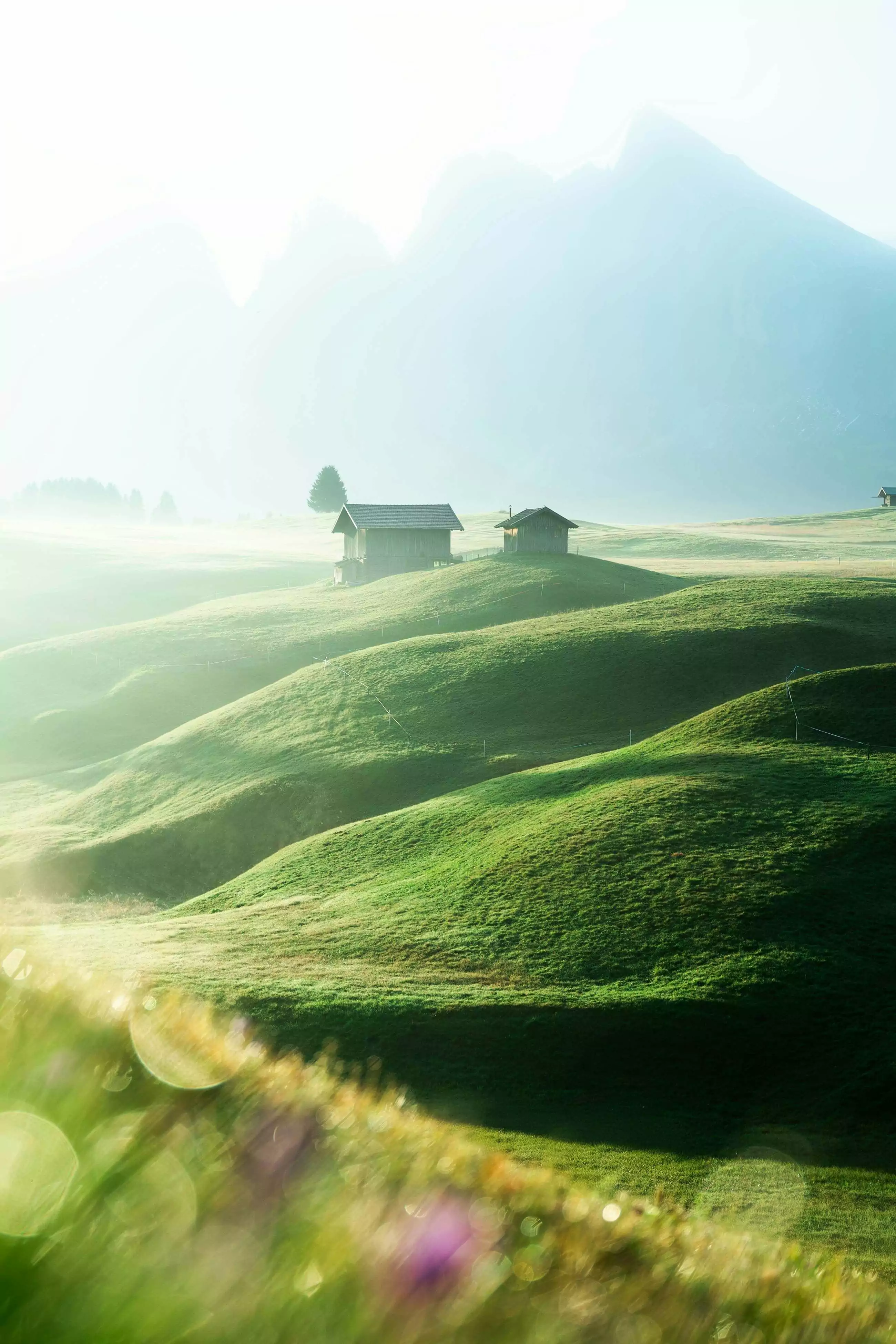 Best of Unsplash: November 2024 dan-asaki-vIRNXV87cro-unsplash