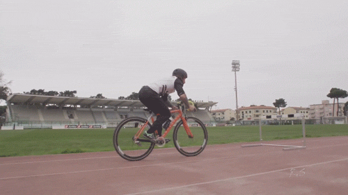 GIFparade CXIII GP113_12 