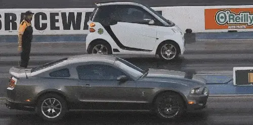 GIFparade CXIV GP114_27 