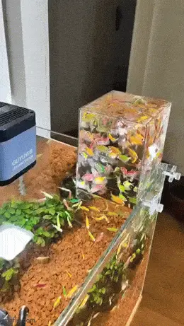 GIFparade CXIV GP114_28 