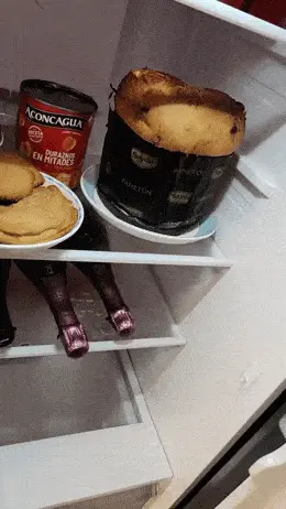 GIFparade CXIX GP119_01