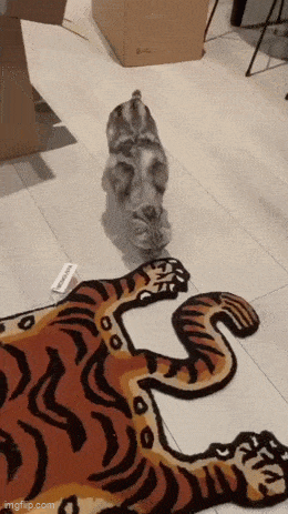 GIFparade CXX GP120_10 