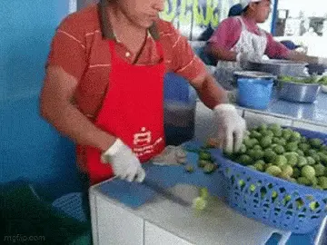 GIFparade CXXI GP121_23 