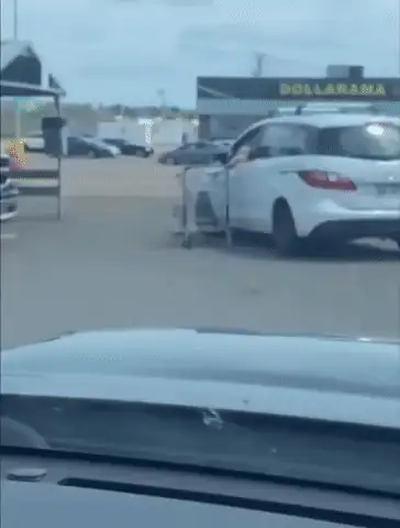 GIFparade CXXI GP121_28 