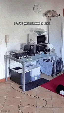 GIFparade CXXI GP121_32 