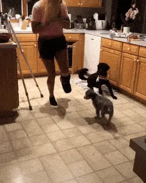 GIFparade CXXI GP121_33 