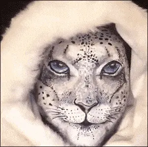 GIFparade CXXI GP121_46 