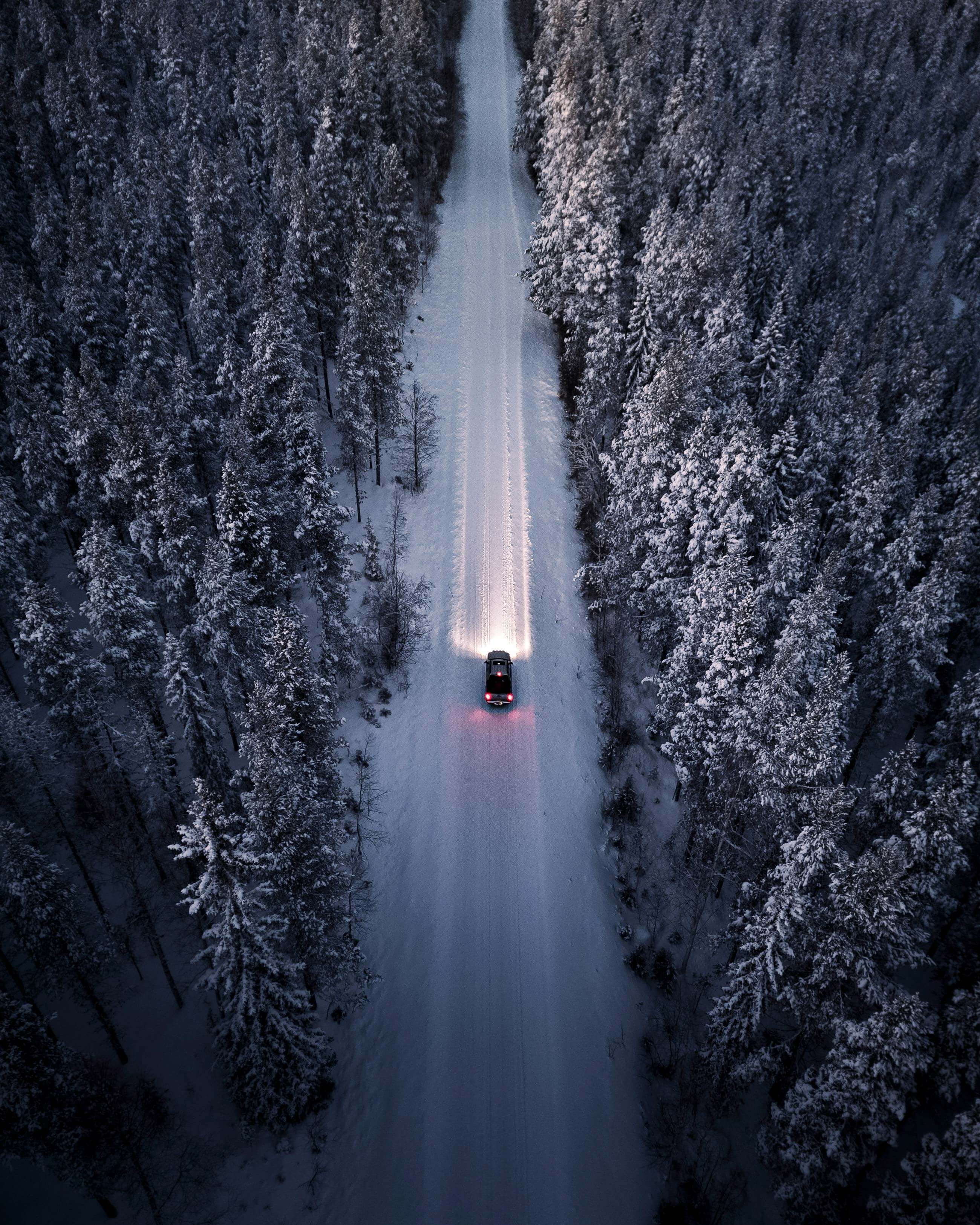 Best of Unsplash: Januar 2025 christoph-nolte-QcoWnyccR5I-unsplash