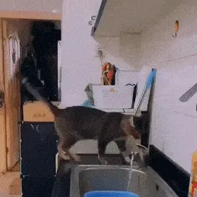 GIFparade CXXIII GP123_12 