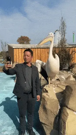 GIFparade CXXIII GP123_19 