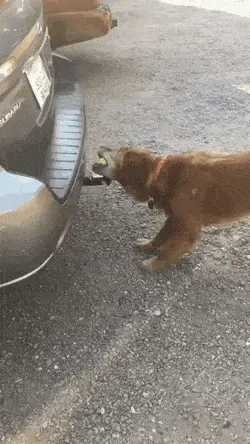 GIFparade CXXIII GP123_28 