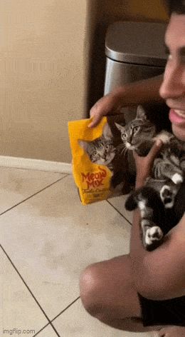 GIFparade CXXIII GP123_34 