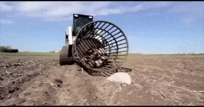 GIFparade CXXIV GP124_33 