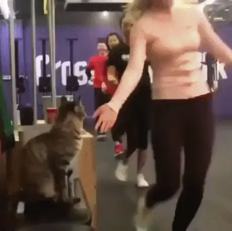 GIFparade CXXIV GP124_46 