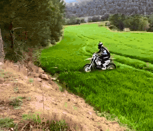 GIFparade CXXV GP125_15 