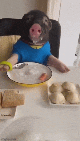 GIFparade CXXV GP125_32 