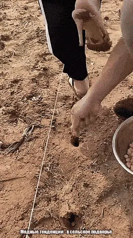 GIFparade CXXV GP125_36 