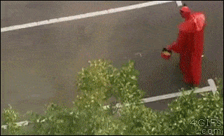 GIFparade CXXV GP125_38 