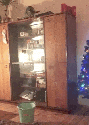 GIFparade CXXV GP125_39 