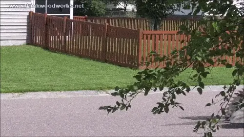 GIFparade CXXV GP125_42 