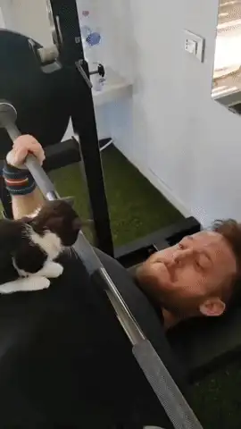 GIFparade CXXVI GP126_10 