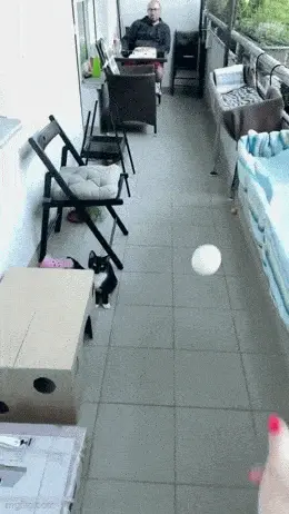 GIFparade CXXVI GP126_13 