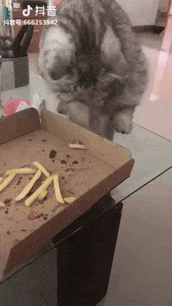 GIFparade CXXVI GP126_17 