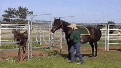 GIFparade CXXVI GP126_20 