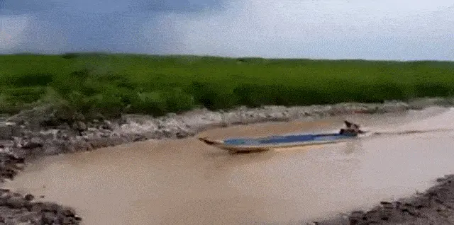 GIFparade CXXVI GP126_40 